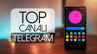 I Migliori Canali Telegram! Android & iOS | CrexTV