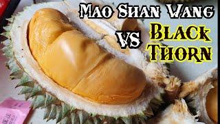 Most Expensive Durian: Black Thorn VS Mao Shan Wang VS Green BamBoo (Tekka Durian)