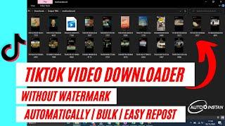 BEST TOOL FOR BULK TIKTOK VIDEO DOWNLOADER WITHOUT WATERMARK