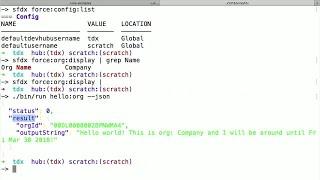 Create and Use Salesforce CLI Plugins