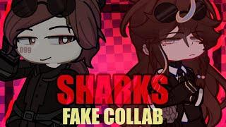 : ̗̀SHARKS MEME  GACHA LIFE 2 ANIMATION  #WSharksFC @solo_fixian  ༉‧₊˚.