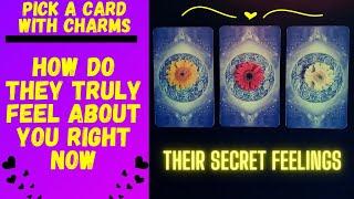 HOW DO THEY TRULY FEEL ABOUT YOU RIGHT NOW️‍|CHARM|TAROT PICK A CARD