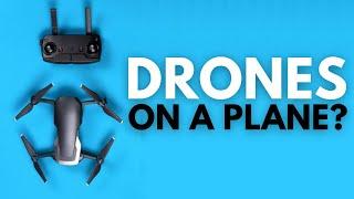 How to Take Your Drone on a Plane! (not snakes) Holiday Travel Advice!