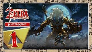  THE LEGEND OF ZELDA BREATH OF THE WILD [MASTER-MODE] Part 1: Hard Mode Live!