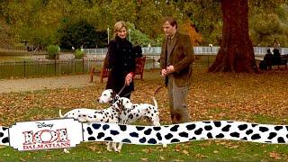 Pongo and Perdita meet | (3/15) Movie Scenes | 101 Dalmatians (1996) HD