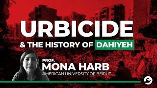 Beirut Southern Suburbs & Hezbollah: History & Truth | Mona Harb