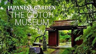 Walking through a summer Japanese Garden colored in deep green | The Gotoh Museum