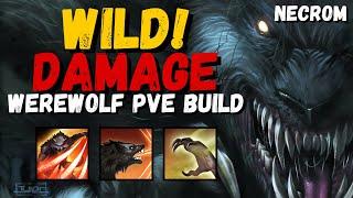 SAVAGE Wolf!  Werewolf PVE Build - ESO Necrom