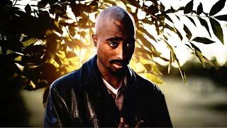 2Pac - Better Man [Prod by: @Eyos-c4f ] (New 2024 Remix)