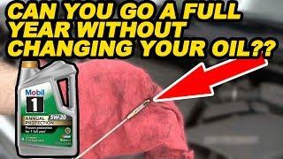 Can You Go a Full Year Without Changing Your Oil??