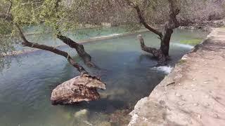 Beautiful Hermon Stream (Banias) Nature Reserve. Israel 4k60