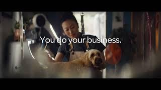 BT Business Digital Marketing Hub 'Dog Groomer' TV NOW Advertising