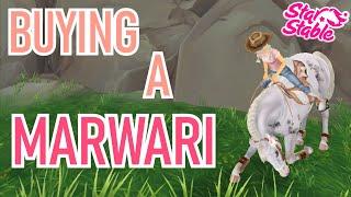 BUYING A MARWARI | Star Stable