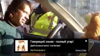 смешное прикольное видео приколы скачать бесплатно 1