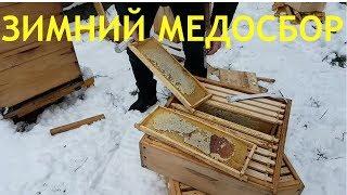 УЛЕЙ "ВЕЛИКОРУСЬКИЙ"™ Часть 11. Зимний медосбор. Winter honey collection Beekeepers Honeybees