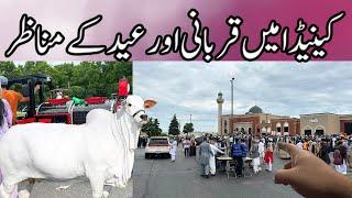 1st Day of Eid ul Azha in Canada 2024