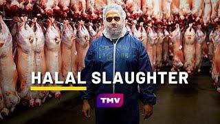 What is HALAL SLAUGHTER? (QURBANI) | Halal Meat Farm  | Being Muslim