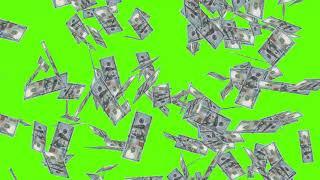 4K Free Money Rain Fall Animation on Green Screen