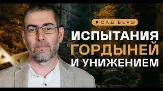 ️ Преодоление конфликтов, высокомерия и унижений. "Сад Веры" -  Урок 28 | Ицхак Пинтосевич