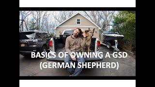 OWNING OR ADOPTING A GERMAN SHEPHERD.... EASY BUT MUST KNOW BASICS 101!!!