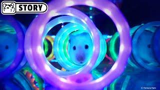 Neon Cube Hamster Maze  Aquarium and Minecraft  Homura Ham