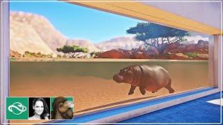  Hippo lookout & underwater viewing | Desert Franchise Mode | Planet Zoo |