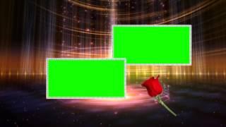 Free Wedding Frame Green Screen Effect Background Video HD