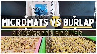 Burlap VS MicroMats - Microgreen Grow Mats!