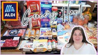 I WENT A LITTLE OVER BUDGET | 1-Week Grocery Haul & Meal Plan | ALDI HAUL