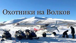 Охотники на Волков Якутия 2020 год