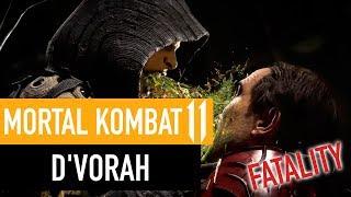 MK11 D'Vorah Fatalities