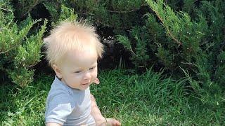 Святик - малыш ползает по зелёной траве#семейныйканал#дети #материнство#влог#семьядети #діти#природа