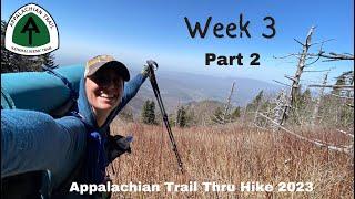 Week 3 part 2 | Appalachian Trail Thru Hike 2023 NOBO