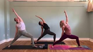 (60 min) Baptiste Journey into Power with Yanira – Venmo @terrayoga