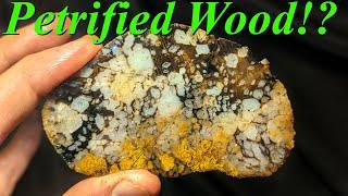 Beautiful Petrified Wood! Slabbing a Heap of Agatized Wood, Montana Moss Agates, and Jaspers!