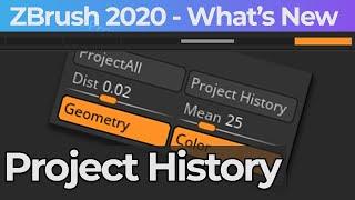 011 Zbrush 2020 Project History
