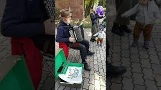 Man Playing Despacito on Accordion in Panfilov Park in Almaty