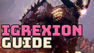 Guardian Raid. Igrexion Quick Guide.