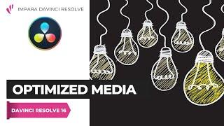 Optimized Media | Davinci Resolve ITA