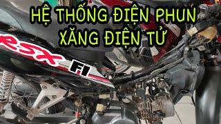 Hệ thống dây điện phun xăng điện tử trên xe RSX FI