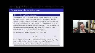 Mikhail Katz: Effective Infinitesimals in R