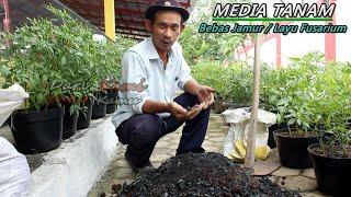 Pembuatan Media Tanam Bebas Bakteri dan Jamur / Layu Fusarium (Cabe Tomat Terong)