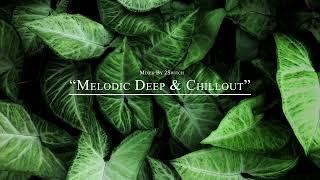 Melodic Deep & Chillout Mix |033| Mixed By 2Switch