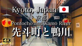 Exploring Pontocho and the Kamo River in Kyoto, Japan [4K]