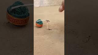 Diwali Sutli Bomb Experiment #shorts