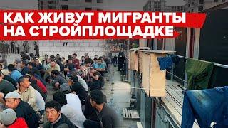 Жизнь мигрантов-строителей. Рейд правоохранителей. 500 рабочих отправили в миграционную службу