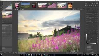 Basic Editing in Raw Therapee