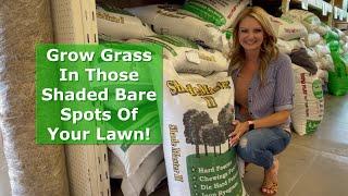 How To Grow Grass In Those Shaded Bare Spots!