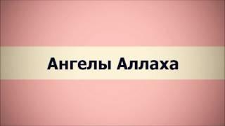 Ангелы Аллаха  (Ключ Счастья) || Абу Яхья Крымский