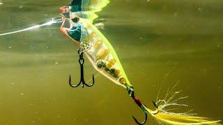 Lure Fishing Made Simple: How to use the Realis Popper 64